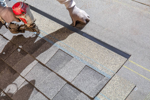 Best Storm Damage Roof Repair  in Terrytown, LA